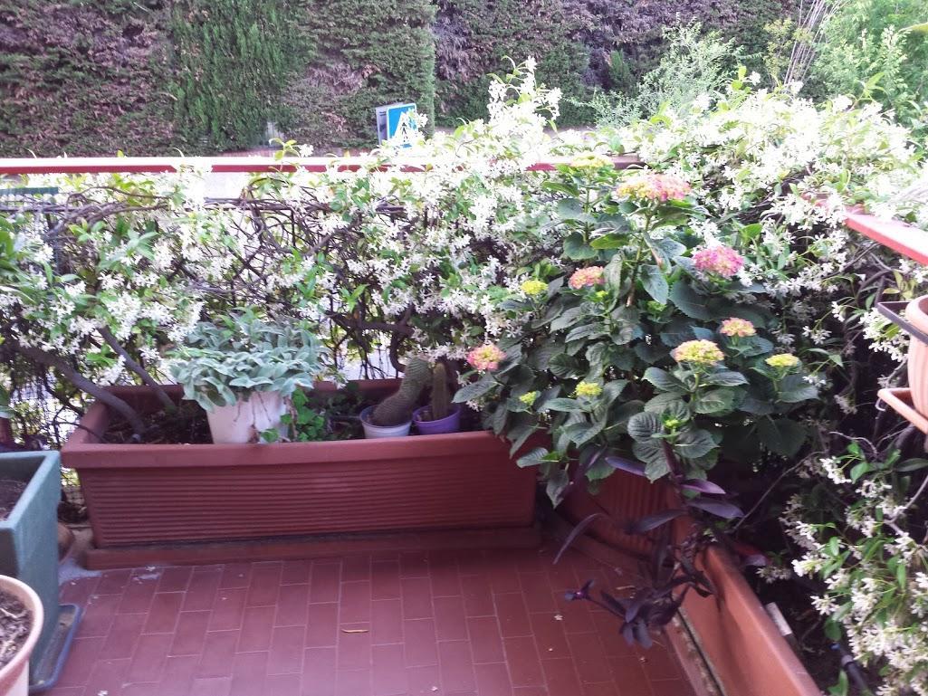 La Fontana Di Carlotta Panzió Róma Kültér fotó